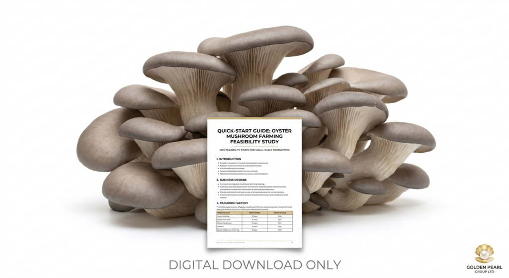 Mushroom Farming Feasibility